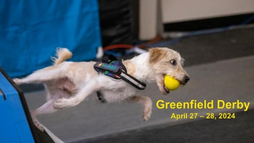 Greenfield Derby Flyball Tournament